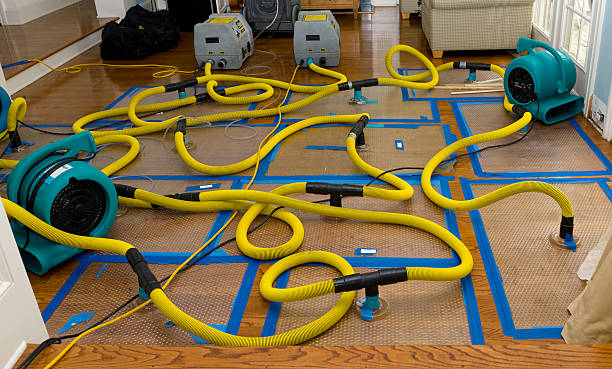 Professional Crawl Space Water Removal technician working in Silverado, CA
